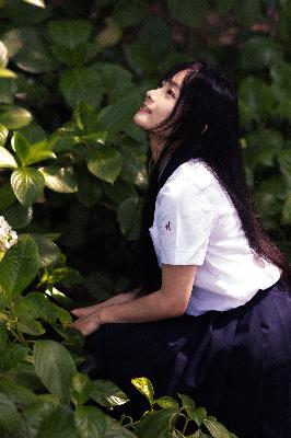 明星大侦探第八季