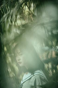 三年在线观看免费高清正版