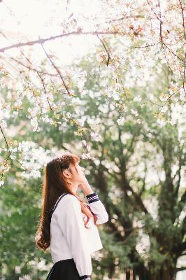 善良的嫂子在线观看